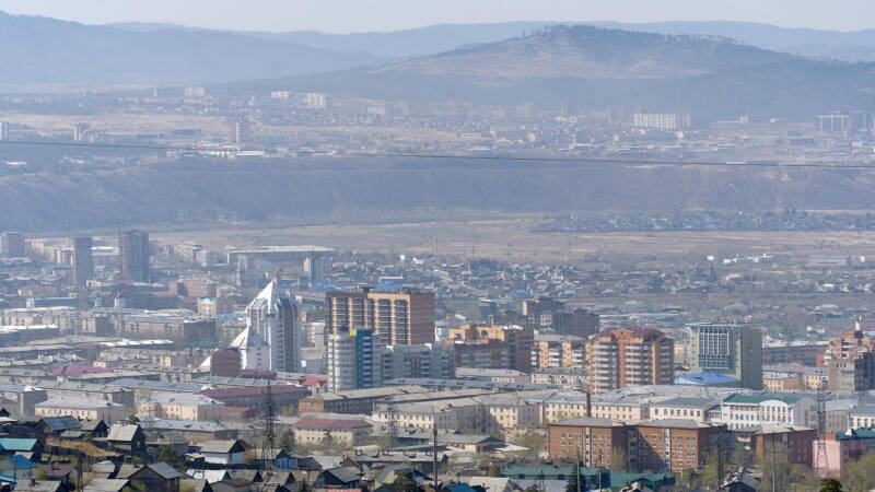 В Бурятии запретили умерщвлять бездомных животных